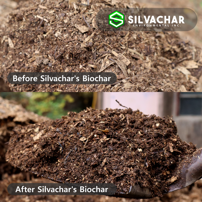 0.5L Biochar Bag | Houseplants & Small Gardens