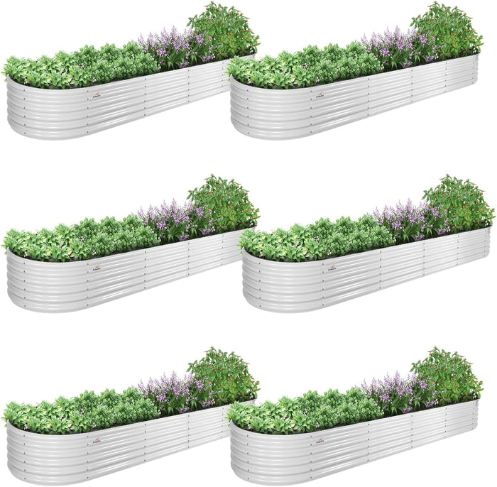 6-PACK / Antique White