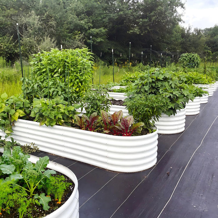 18" Tall 12x3 ft Galvanized Steel Raised Garden Bed