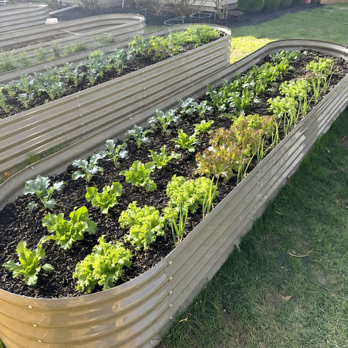18" Tall 12x3 ft Rust-Resistant Raised Garden Bed