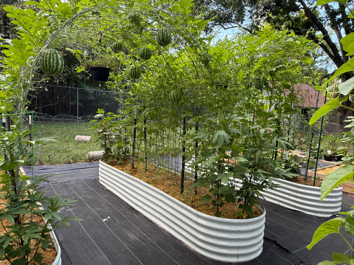 18" Tall 12x3 ft Galvanized Steel Raised Garden Bed - Anleolife