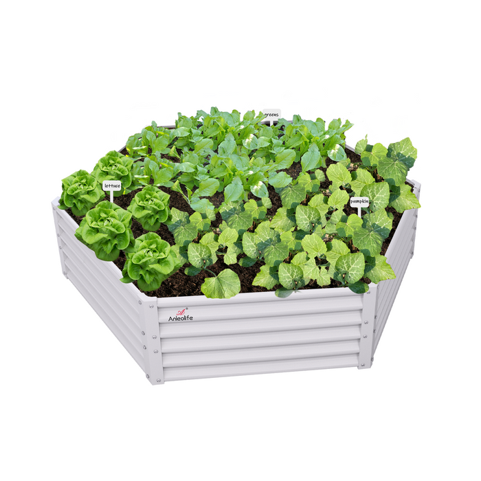 18" Tall 5.8x5 ft Easy Assembly Raised Garden Beds - Anleolife