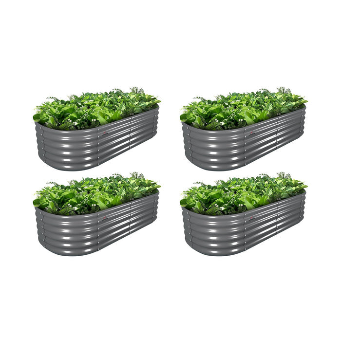 4-Pack / Quartz Gray