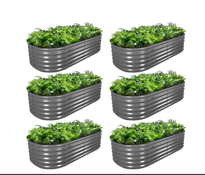 6-Pack / Quartz Gray