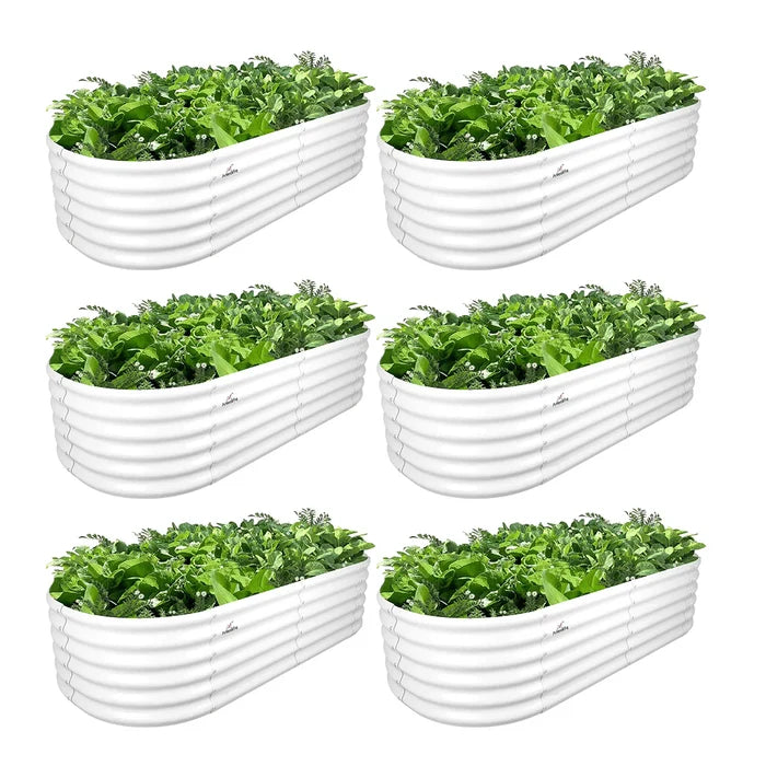 6-Pack / Antique White