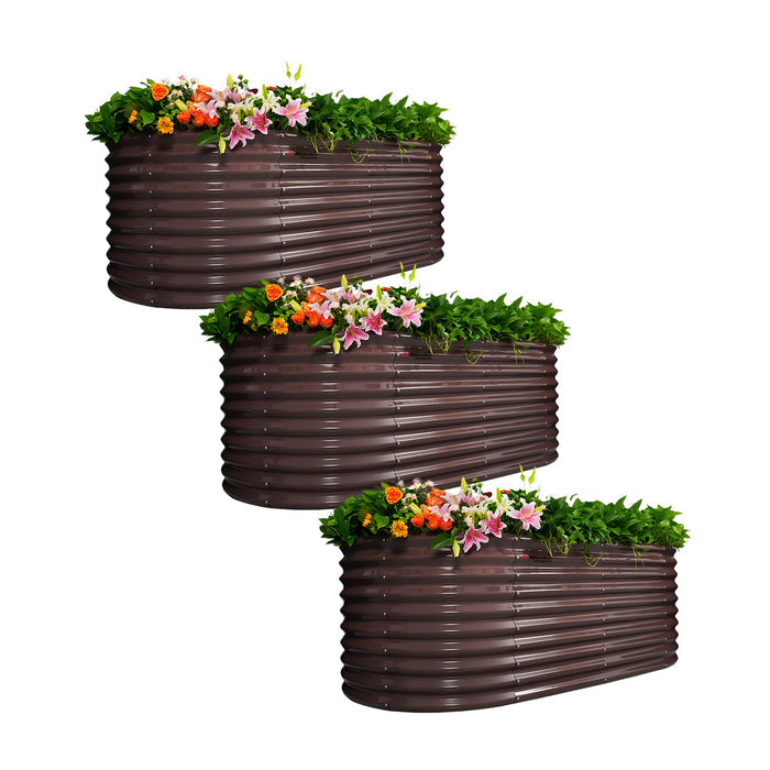 Coffee / 3-Pack