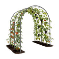 6 FT Heavy-Duty Metal Arch Garden Trellis for Raised Beds & Climbing Plants