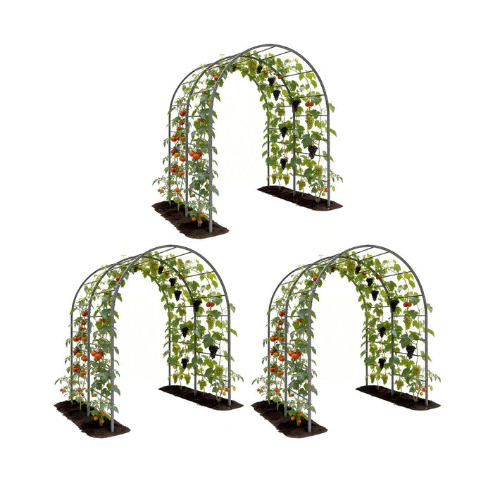 3-Pack