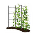 6 FT Heavy-Duty Metal Garden Trellis for Raised Beds & Vertical Growing