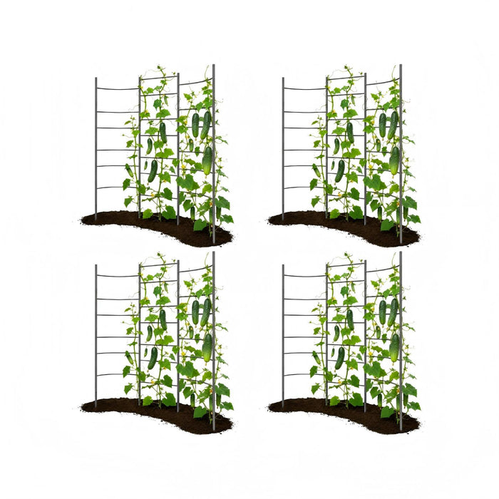 4-Pack