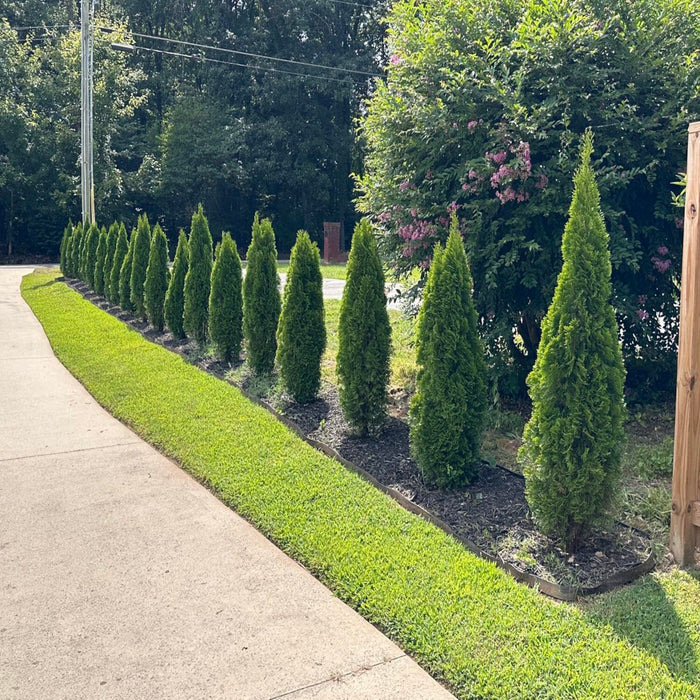 6" x 40" Galvanized Steel Garden Edging, 6-Pack (20FT Total), Powder coating, Gloves & Stakes - Green - Anleolife