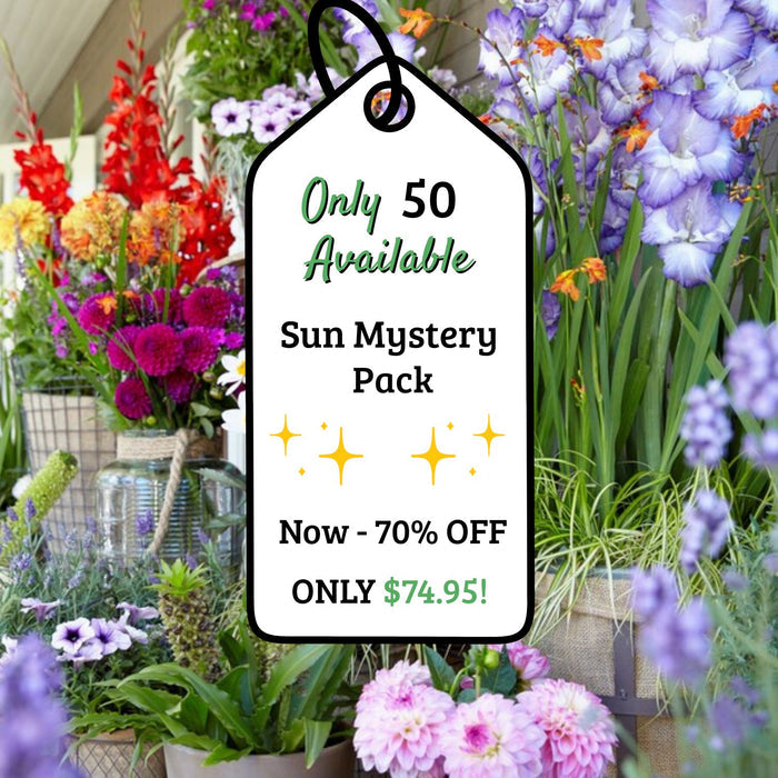 Adventure Pack 200+ Sun Perennials