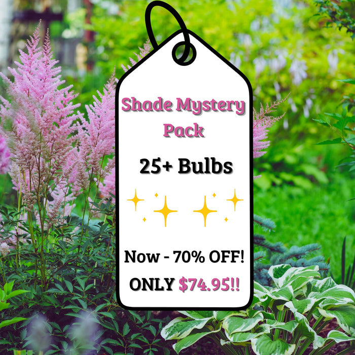 Adventure Pack 25+ Shade Perennials