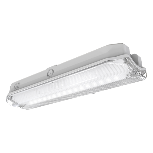 Ansell AGLED/3M Guardian IP66 Bulkhead - White