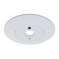 Ansell AMED/1/W/3NM/DA Merlin DALI Emergency Downlight Non-Maintained White