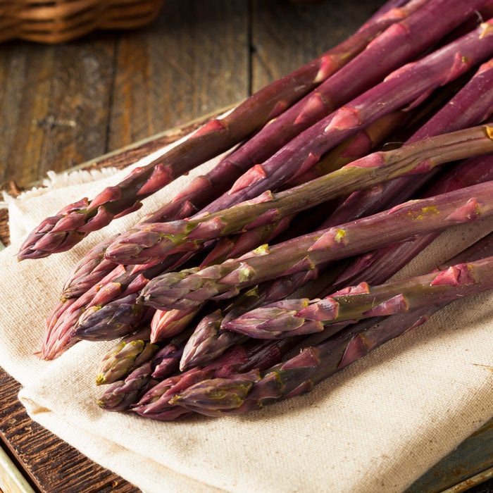 Purple Asparagus