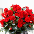 red begonia flowers