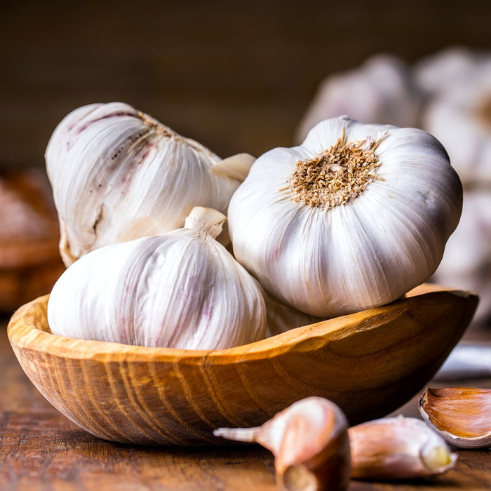 garlic bulbs