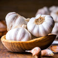 garlic bulbs