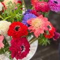mixed blooms Italian Anemones Levante Mix