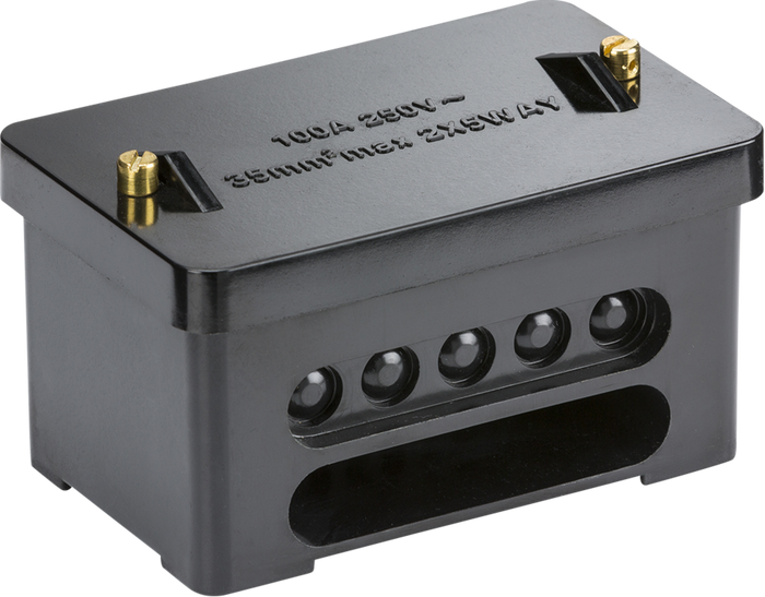 Knightsbridge MLA SNEB2 100A 2 x 5-Way (Double Pole) Service Connector Block - Brass Terminals