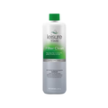 Leisure Time Cartridge Filter Clean 32 oz.
