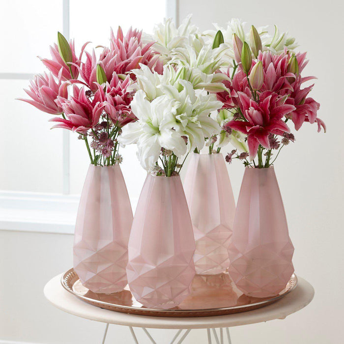 Pollen free lilies for sale