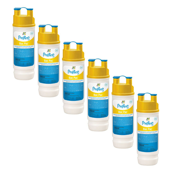 POOL FROG Chlorine Bac Pac 6-Pack