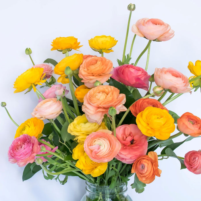 mix of ranunculus flowers in orange, pink and yellow shades