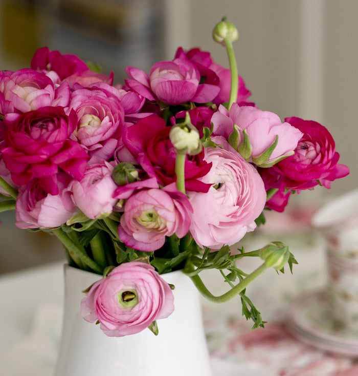 mix of Ranunculus flowers in pink and rose shades