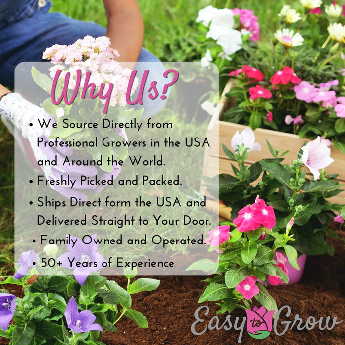 why buy from easy to grow