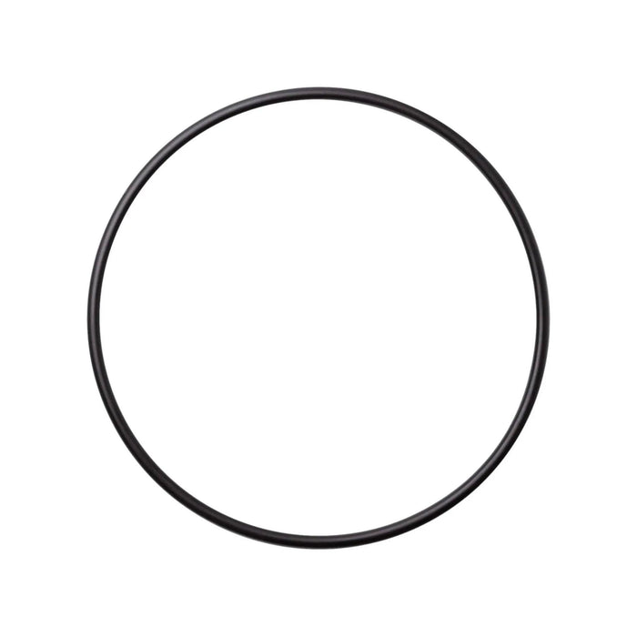 Waterway Plastics 805-0261 Executive Pump Faceplate O-Ring